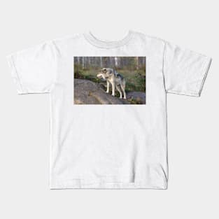 A lone timber wolf Kids T-Shirt